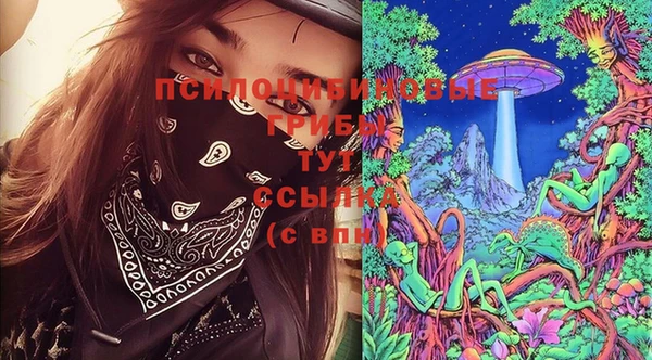 трава Аркадак