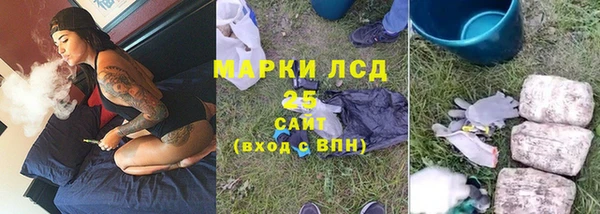трава Аркадак