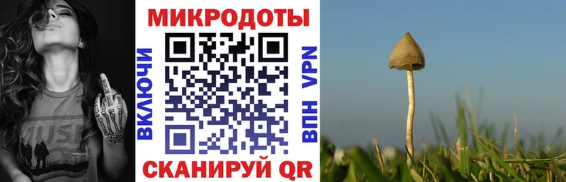 купить наркотик  Спас-Клепики  Псилоцибиновые грибы мухоморы 